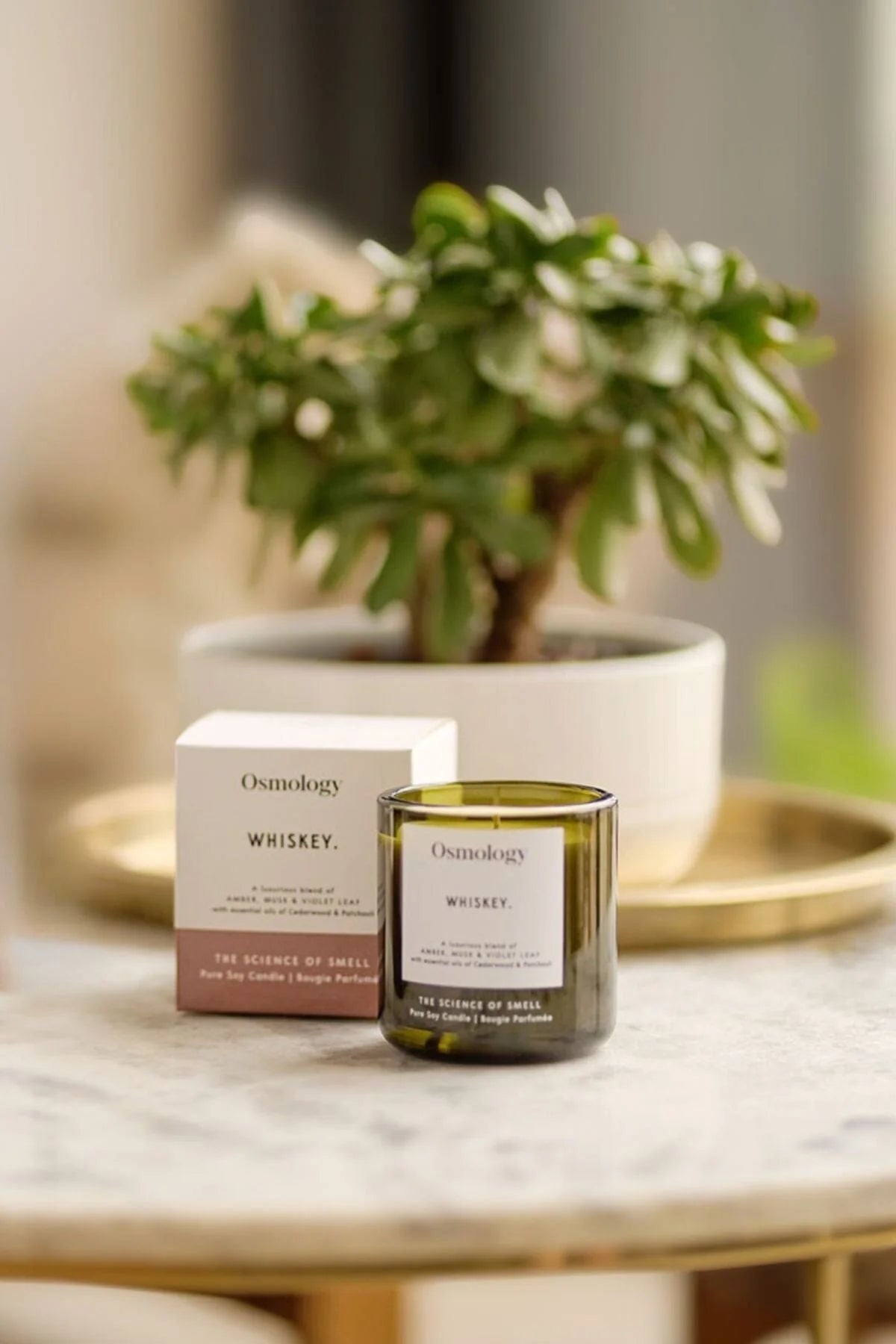 Whiskey Scented Candle