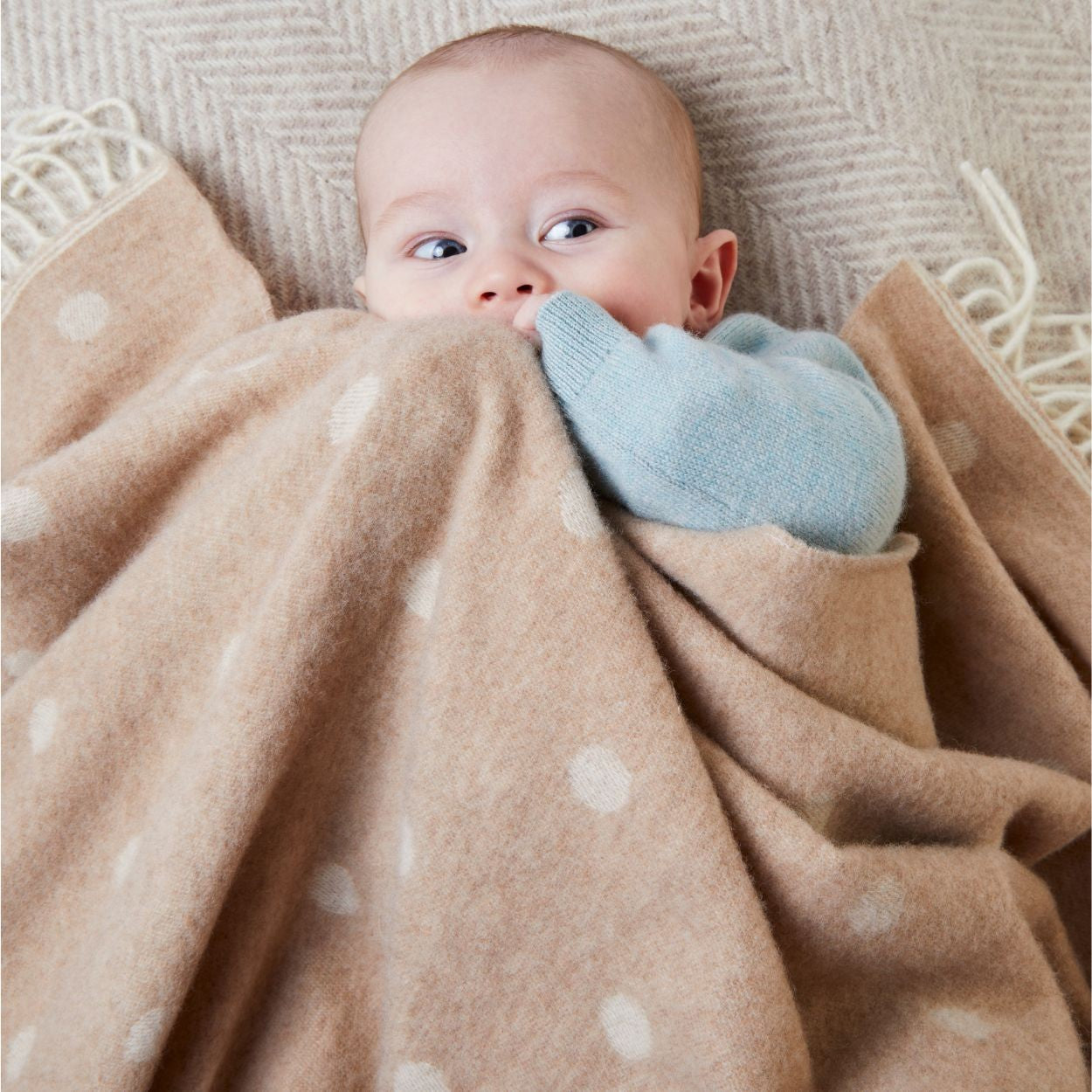 Merino Baby Blanket - Spot